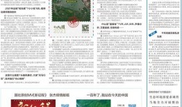 媒体爆料今日头条新闻,媒体曝惊天新闻，揭秘背后惊人真相！