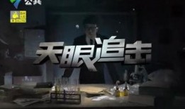 天眼追击在线观看